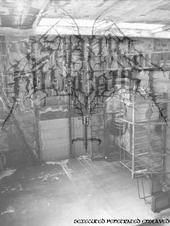 Satanic Holocaust : Sexecuted Penetrated Enslaved